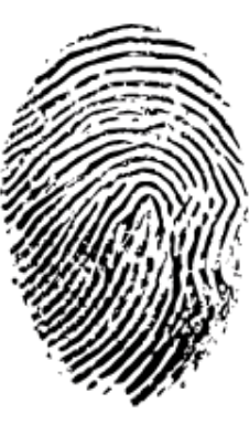 A53